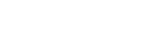 Ecommerce Flow Logo